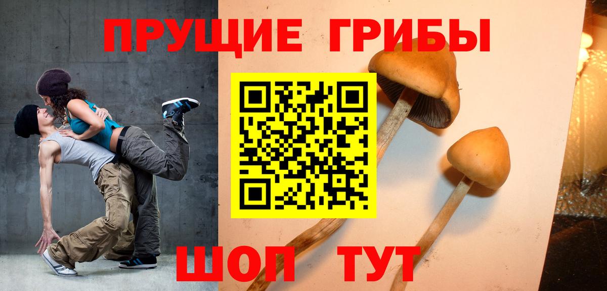 Псилоцибиновые грибы Cubensis  Псилоцибиновые грибы ЛСД  Амурск  Вход с VPN 